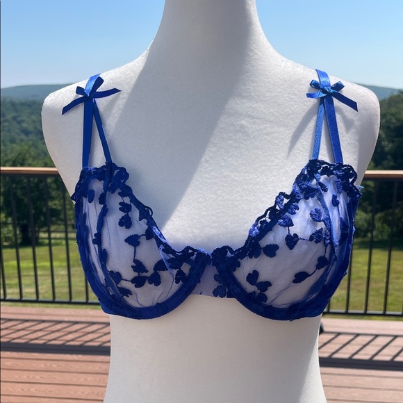 Blue Sheer Mesh Bra with Heart Embroidery | Y2K Lingerie Aesthetic | Romantic M - Picture 1 of 4